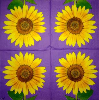 050 Sunflowers - 3-ply (black) - Ihr
